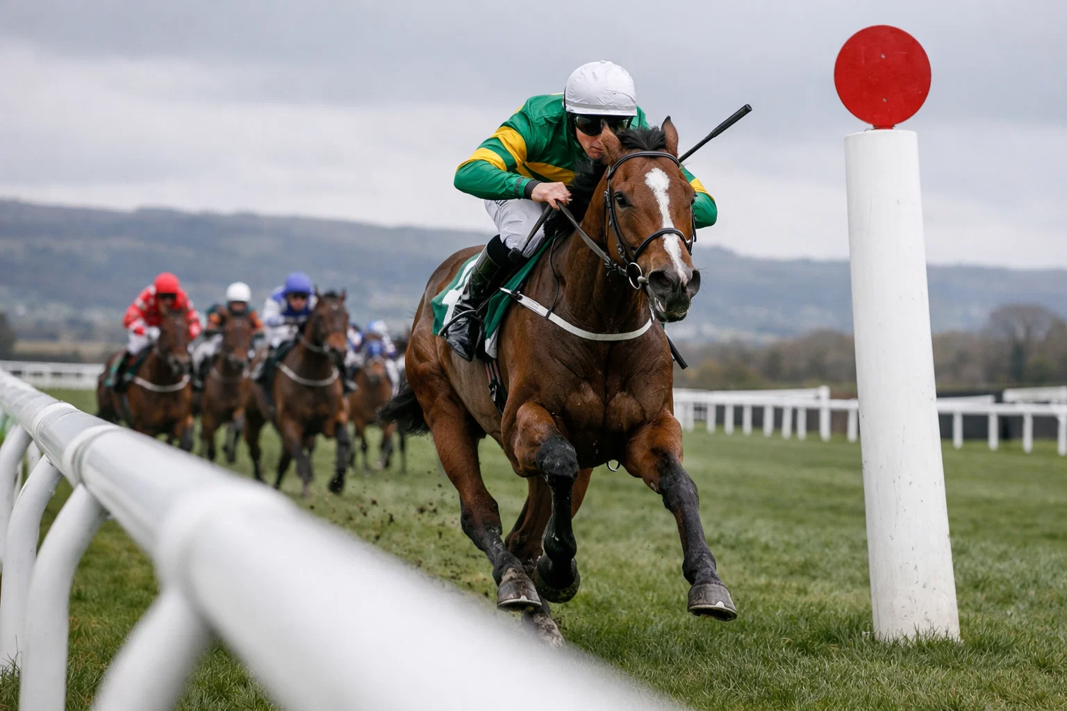 Leading horse pulling ahead of the field approaching the finish line at Cheltenham